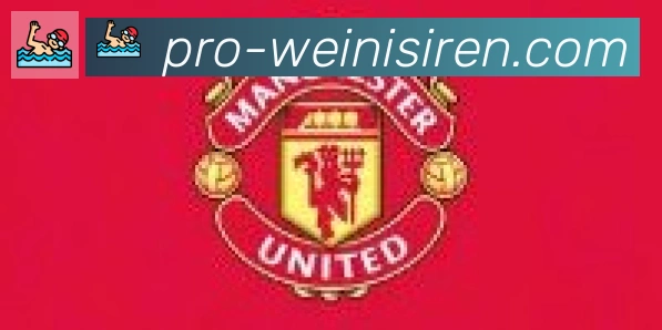 威尼斯人官网体育合作伙伴